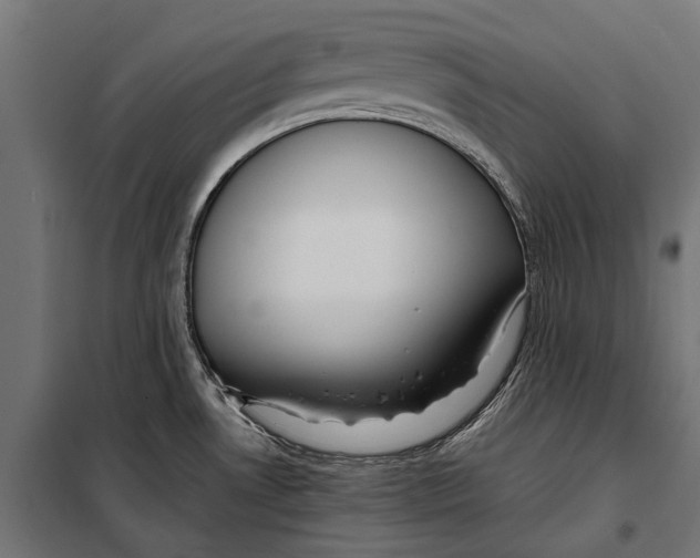 X0000099931530200806201045