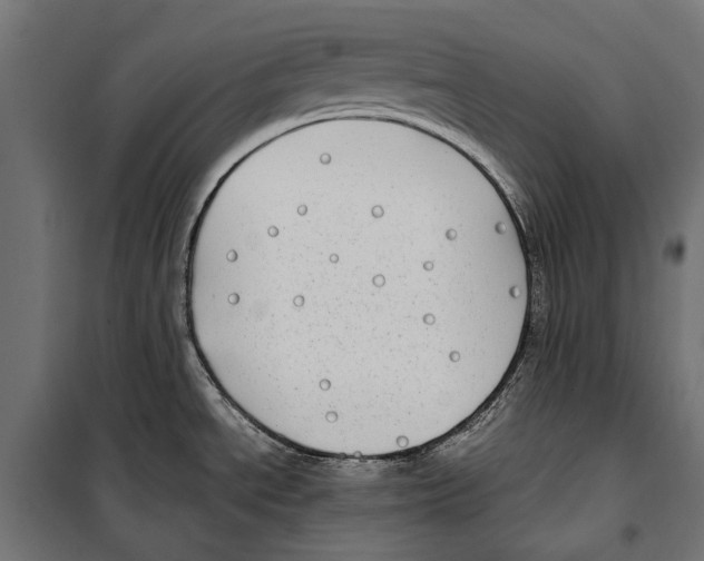 X0000099931534200806201045