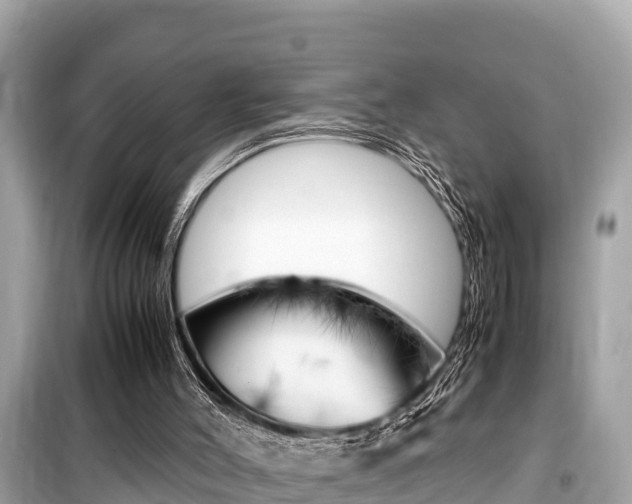 X0000099940004200805231031