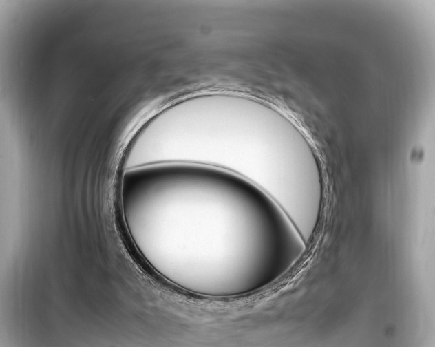 X0000099940007200805231031