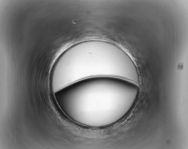 X0000099940008200805231031