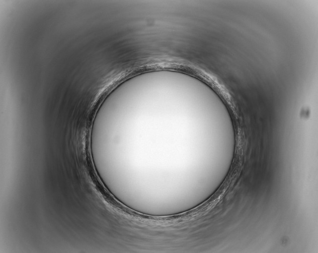 X0000099940010200805231031