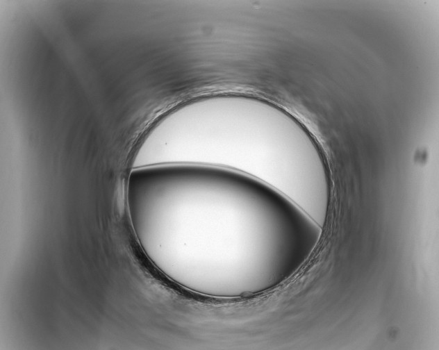 X0000099940013200805231031