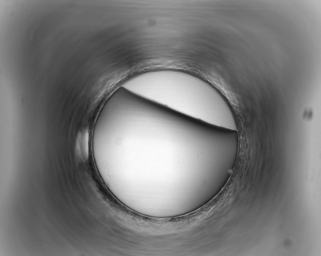X0000099940014200805231031