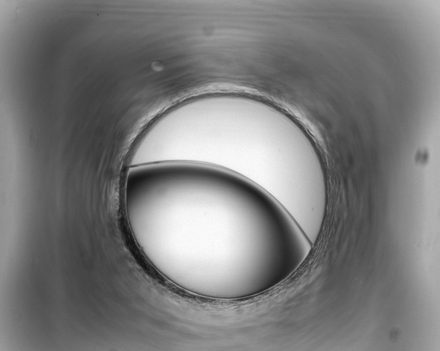 X0000099940015200805231031