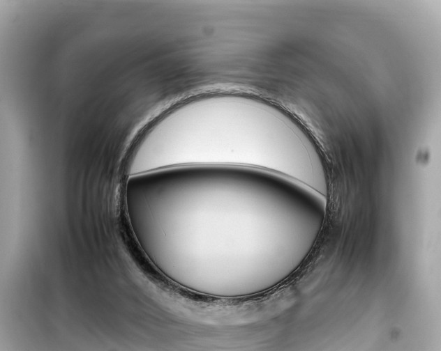 X0000099940016200805231031