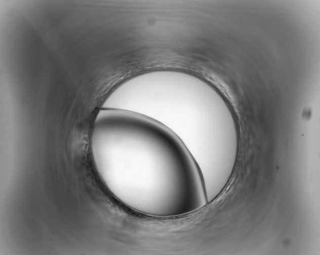 X0000099940017200805231031