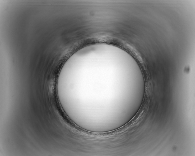 X0000099940018200805231031