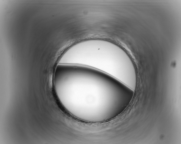 X0000099940019200805231031