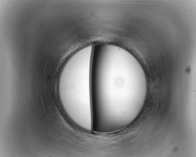 X0000099940020200805231031
