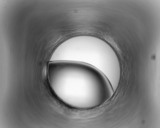 X0000099940021200805231031