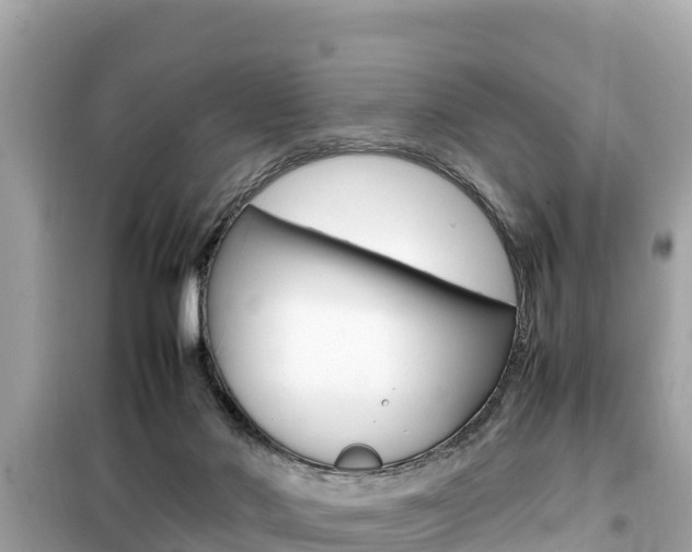 X0000099940022200805231031