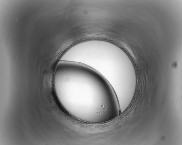 X0000099940023200805231031