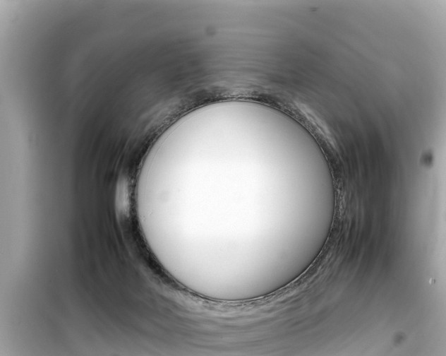 X0000099940026200805231030