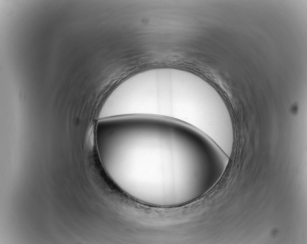 X0000099940027200805231030
