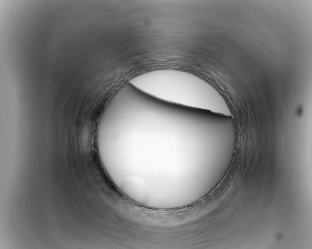 X0000099940030200805231030