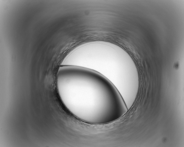X0000099940031200805231030