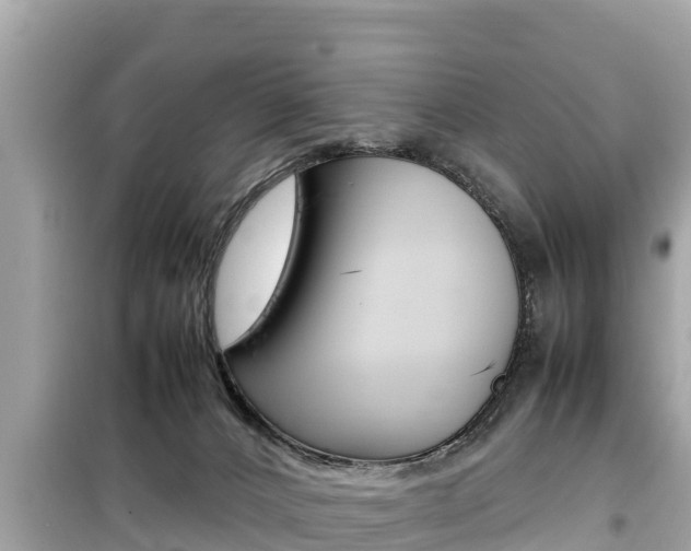 X0000099940032200805231030