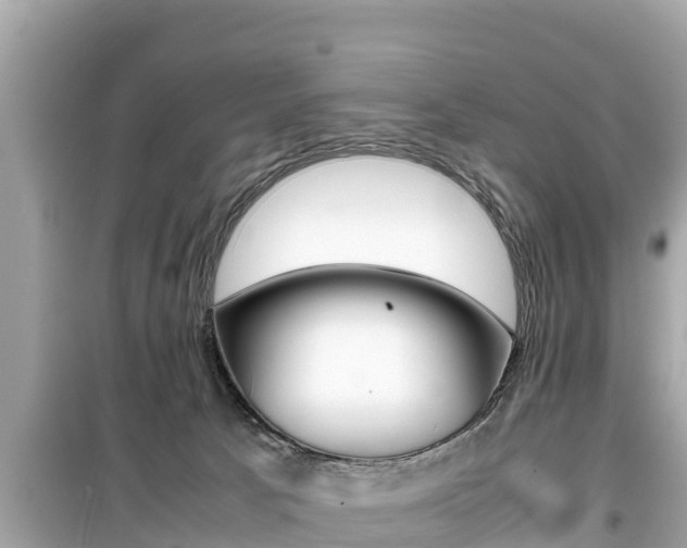 X0000099940033200805231030