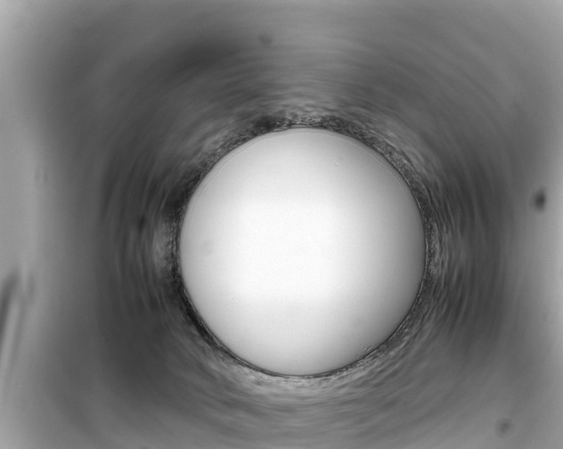 X0000099940034200805231030