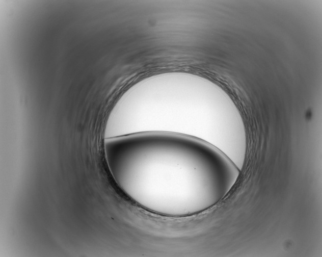 X0000099940035200805231030