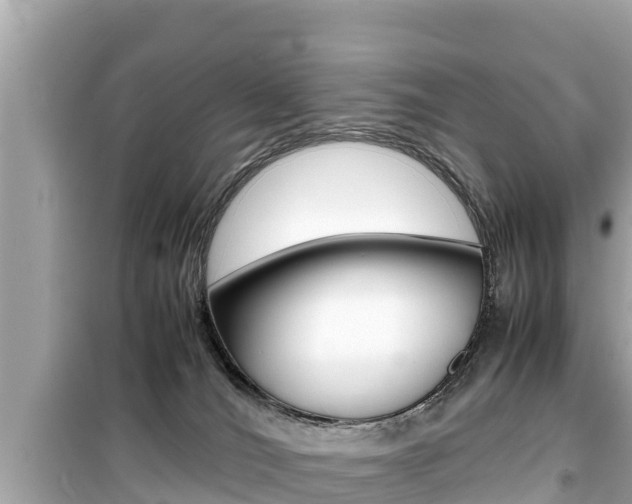 X0000099940036200805231030