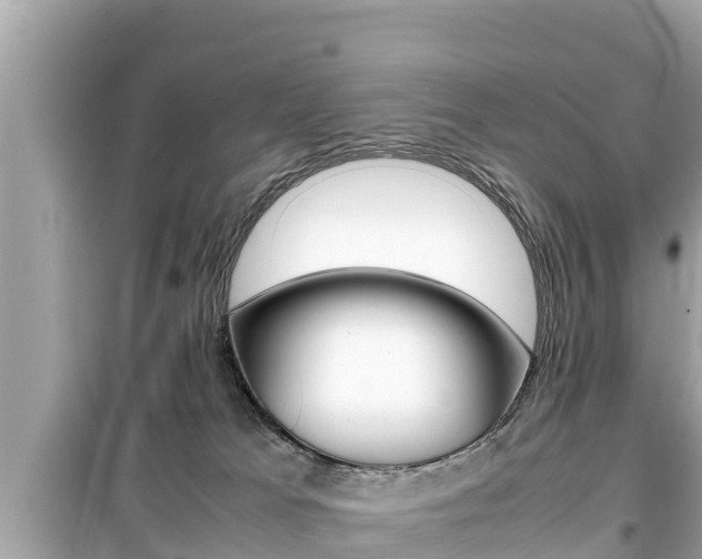 X0000099940037200805231030