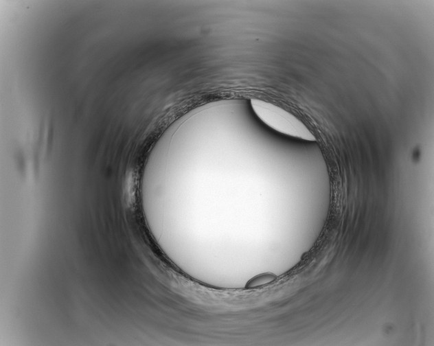 X0000099940038200805231030
