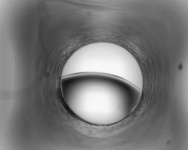 X0000099940039200805231030