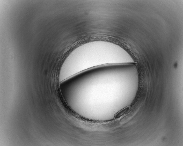 X0000099940040200805231030
