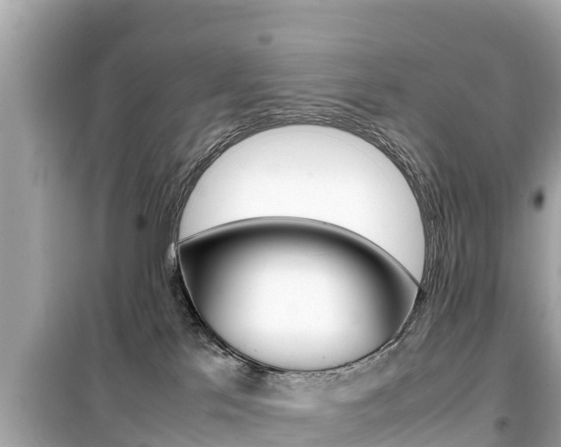 X0000099940041200805231030