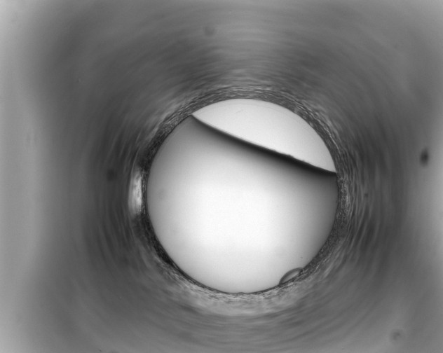 X0000099940042200805231030