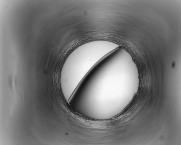 X0000099940044200805231030