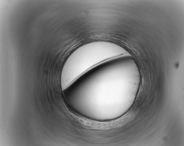 X0000099940048200805231030