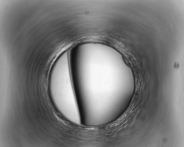 X0000099940050200805231029