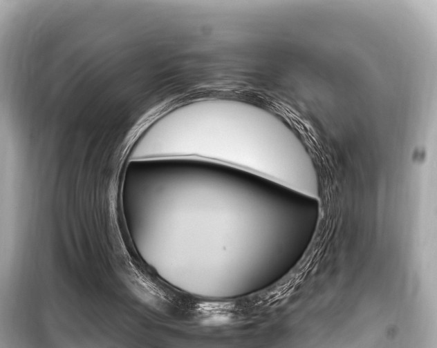 X0000099940051200805231029