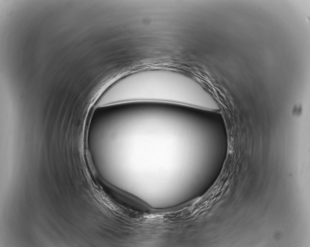 X0000099940052200805231029