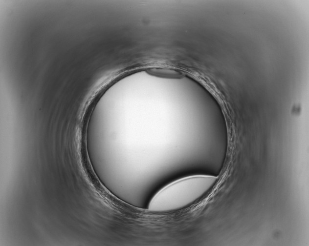 X0000099940055200805231030
