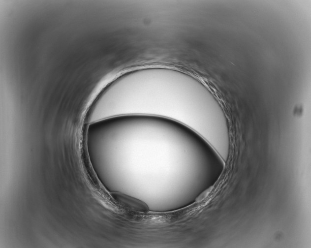 X0000099940056200805231030