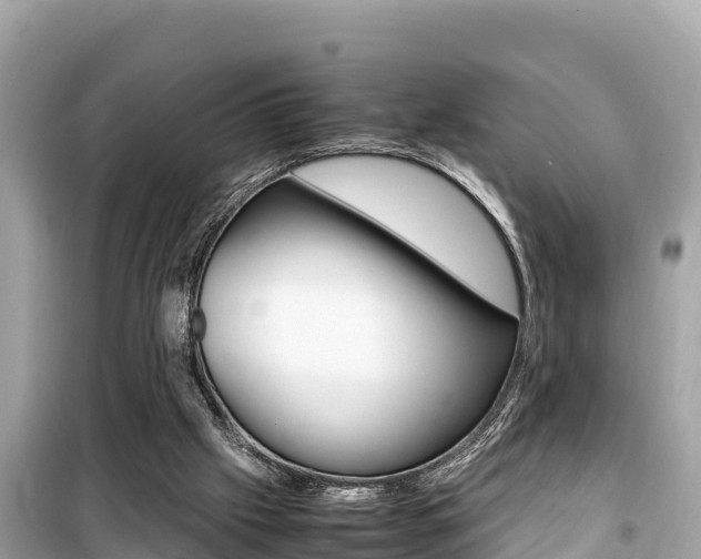 X0000099940057200805231030