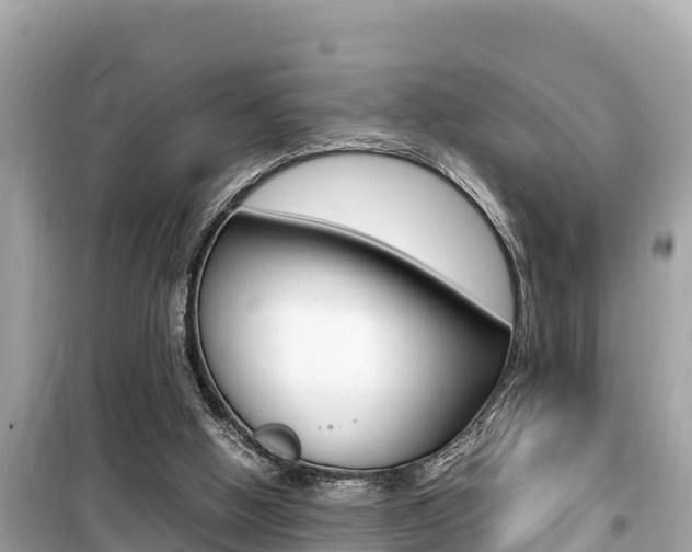 X0000099940058200805231030