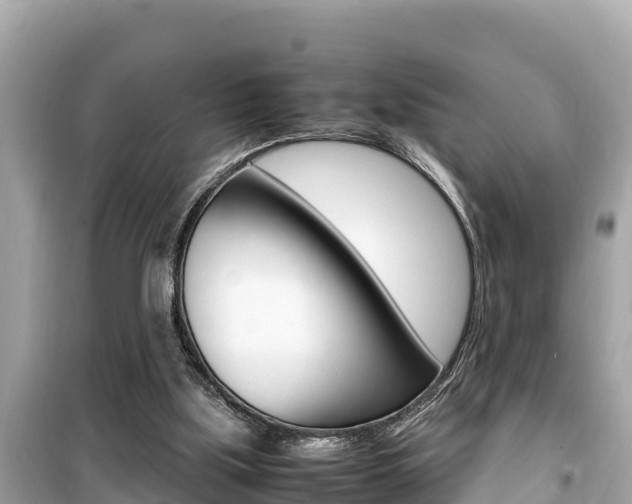 X0000099940059200805231030
