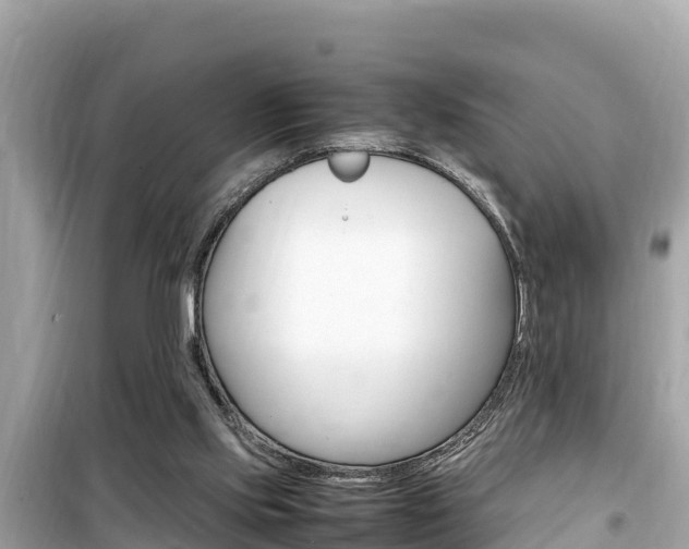 X0000099940061200805231030