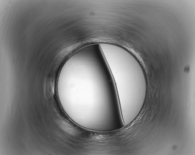 X0000099940062200805231030
