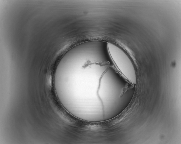 X0000099940067200805231030