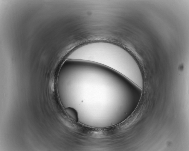 X0000099940068200805231030
