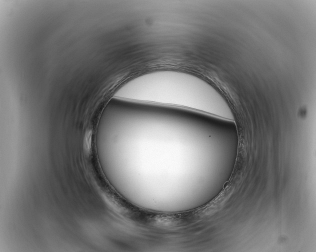 X0000099940070200805231030