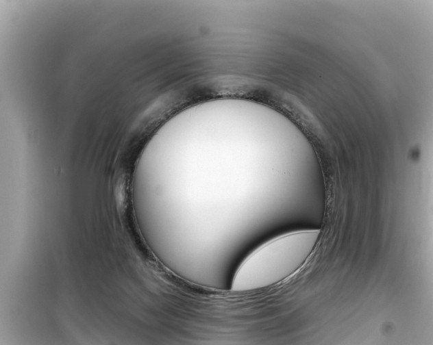 X0000099940074200805231030