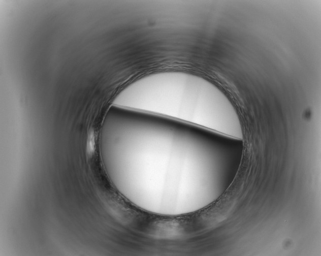 X0000099940075200805231030