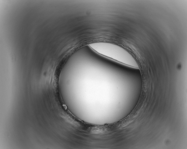 X0000099940077200805231030